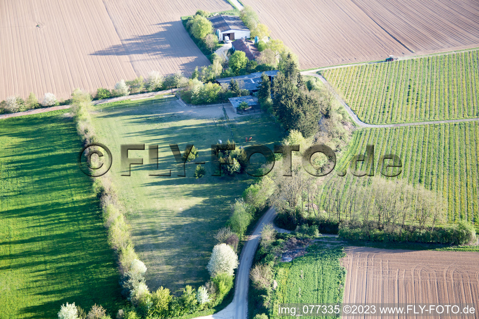 Luftaufnahme von Minfeld, Trakehnerkoppel im Bundesland Rheinland-Pfalz, Deutschland