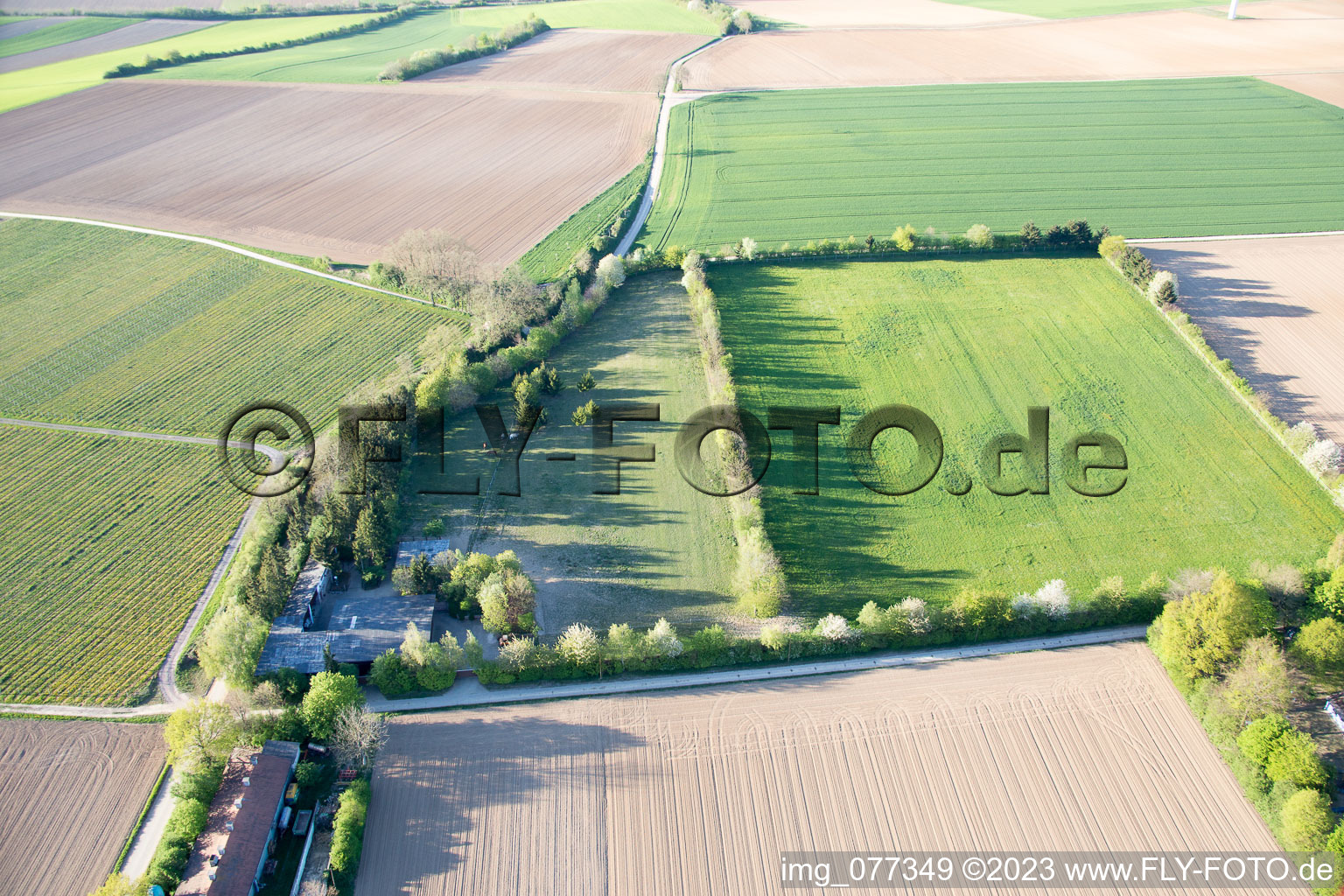 Minfeld, Trakehnerkoppel im Bundesland Rheinland-Pfalz, Deutschland aus der Luft betrachtet