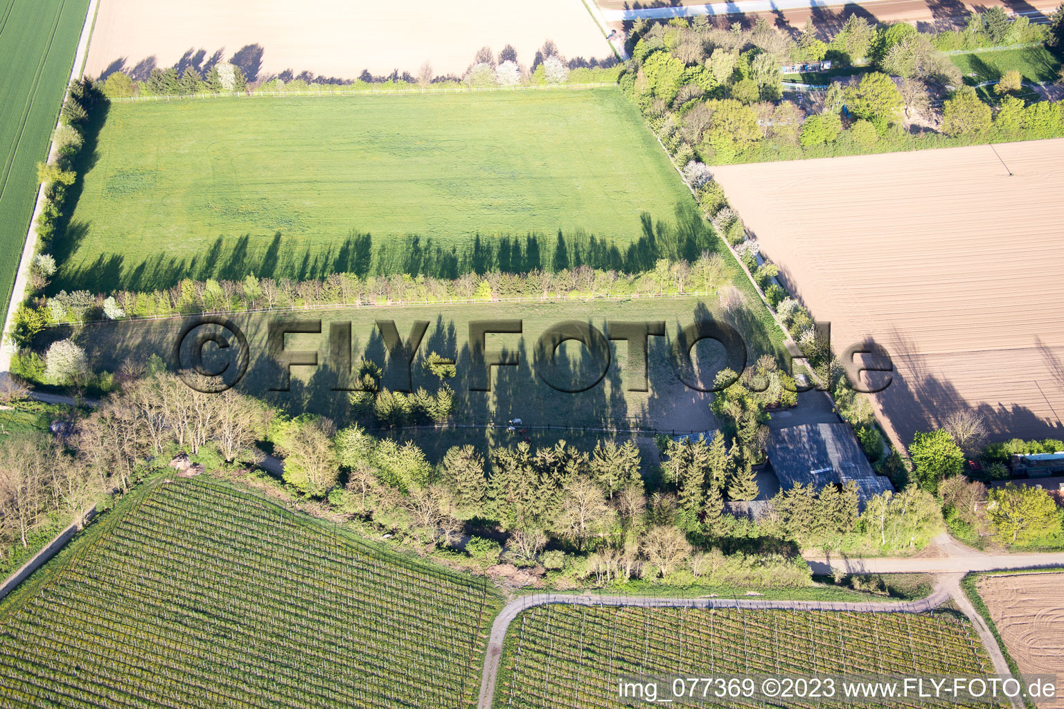 Luftbild von Minfeld, Trakehnerkoppel im Bundesland Rheinland-Pfalz, Deutschland