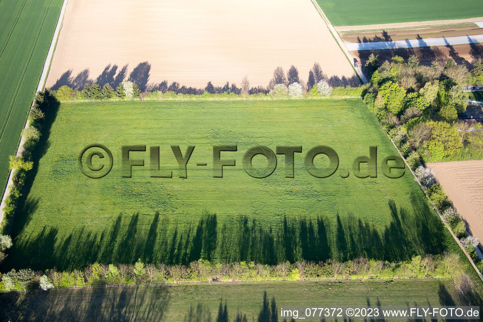 Luftaufnahme von Minfeld, Trakehnerkoppel im Bundesland Rheinland-Pfalz, Deutschland