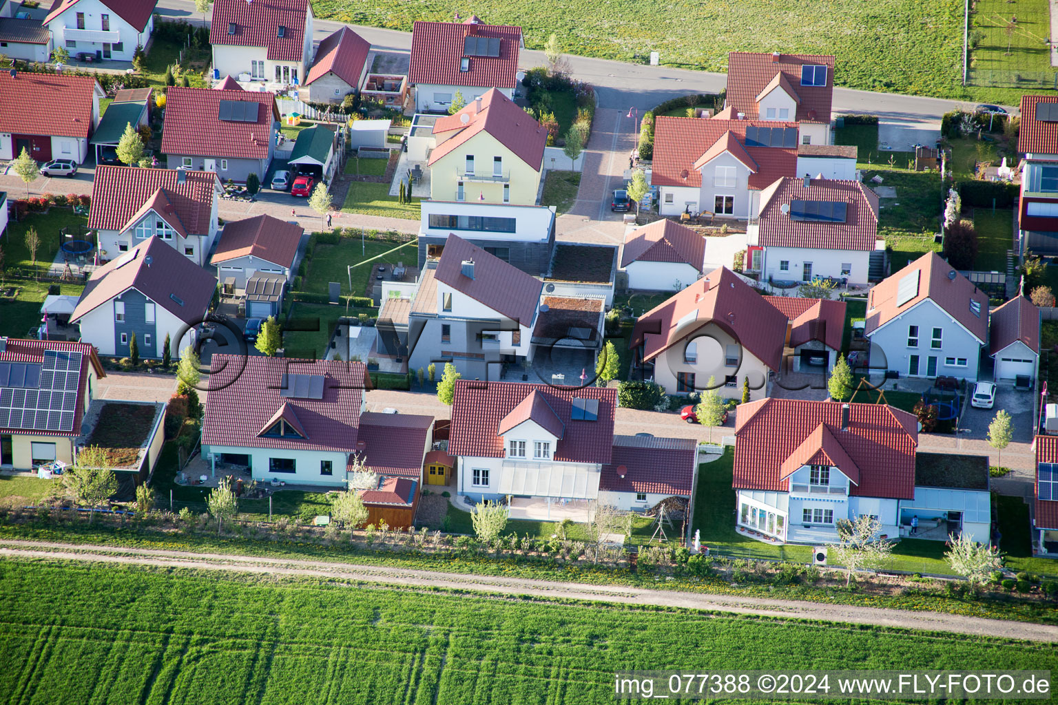 Luftaufnahme von Steinweiler im Bundesland Rheinland-Pfalz, Deutschland