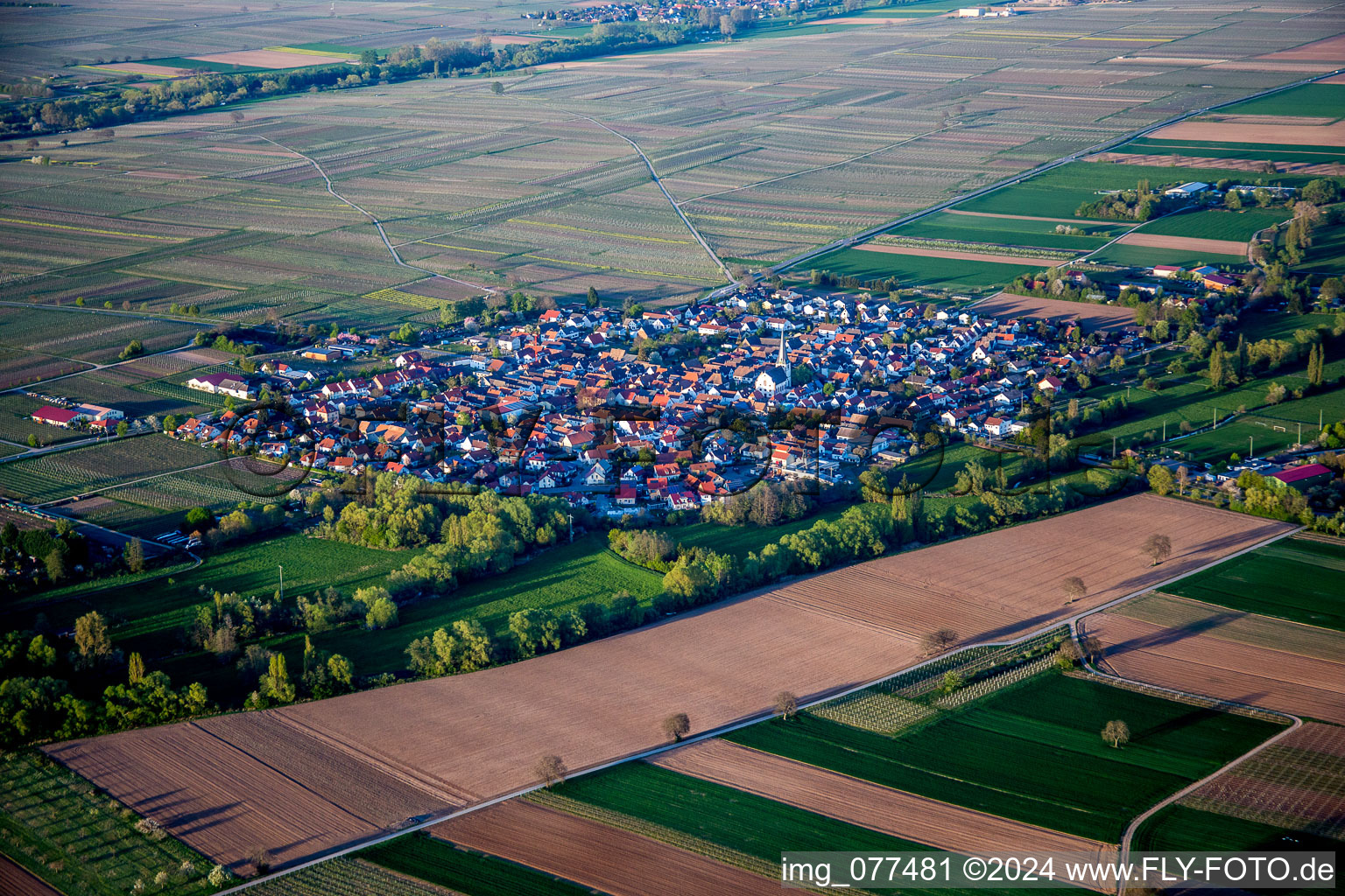 Dorf - Ansicht am Rande von landwirtschaftlichen Feldern und Nutzflächen in Venningen im Bundesland Rheinland-Pfalz, Deutschland