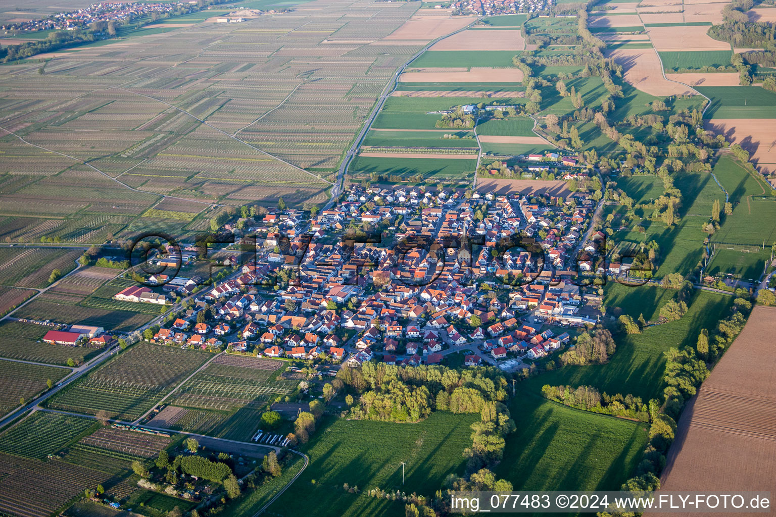 Luftbild von Dorf - Ansicht am Rande von landwirtschaftlichen Feldern und Nutzflächen in Venningen im Bundesland Rheinland-Pfalz, Deutschland