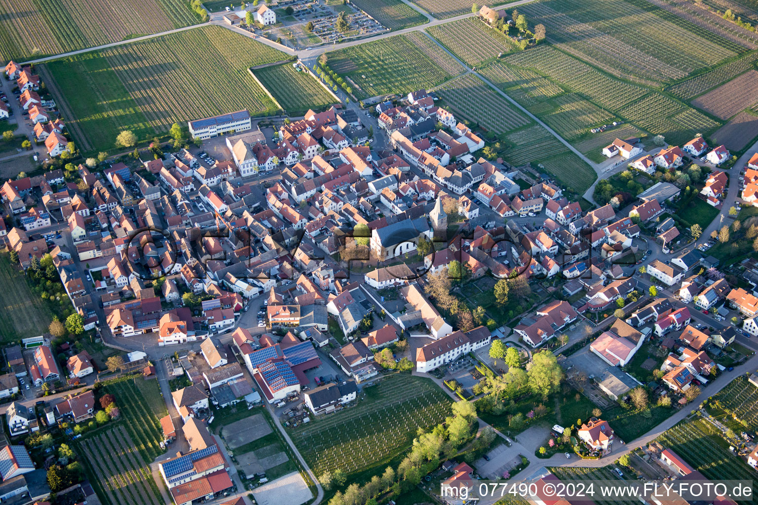 Dorf - Ansicht am Rande von landwirtschaftlichen Feldern und Nutzflächen in Kirrweiler (Pfalz) im Bundesland Rheinland-Pfalz, Deutschland