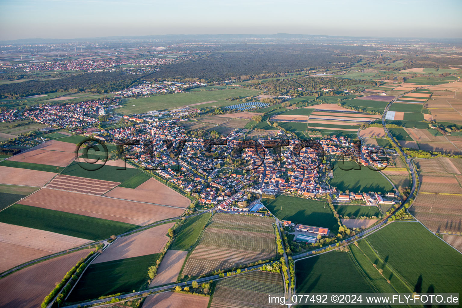 Dorf - Ansicht am Rande von landwirtschaftlichen Feldern und Nutzflächen im Ortsteil Lachen-Speyerdorf in Neustadt an der Weinstraße im Bundesland Rheinland-Pfalz, Deutschland