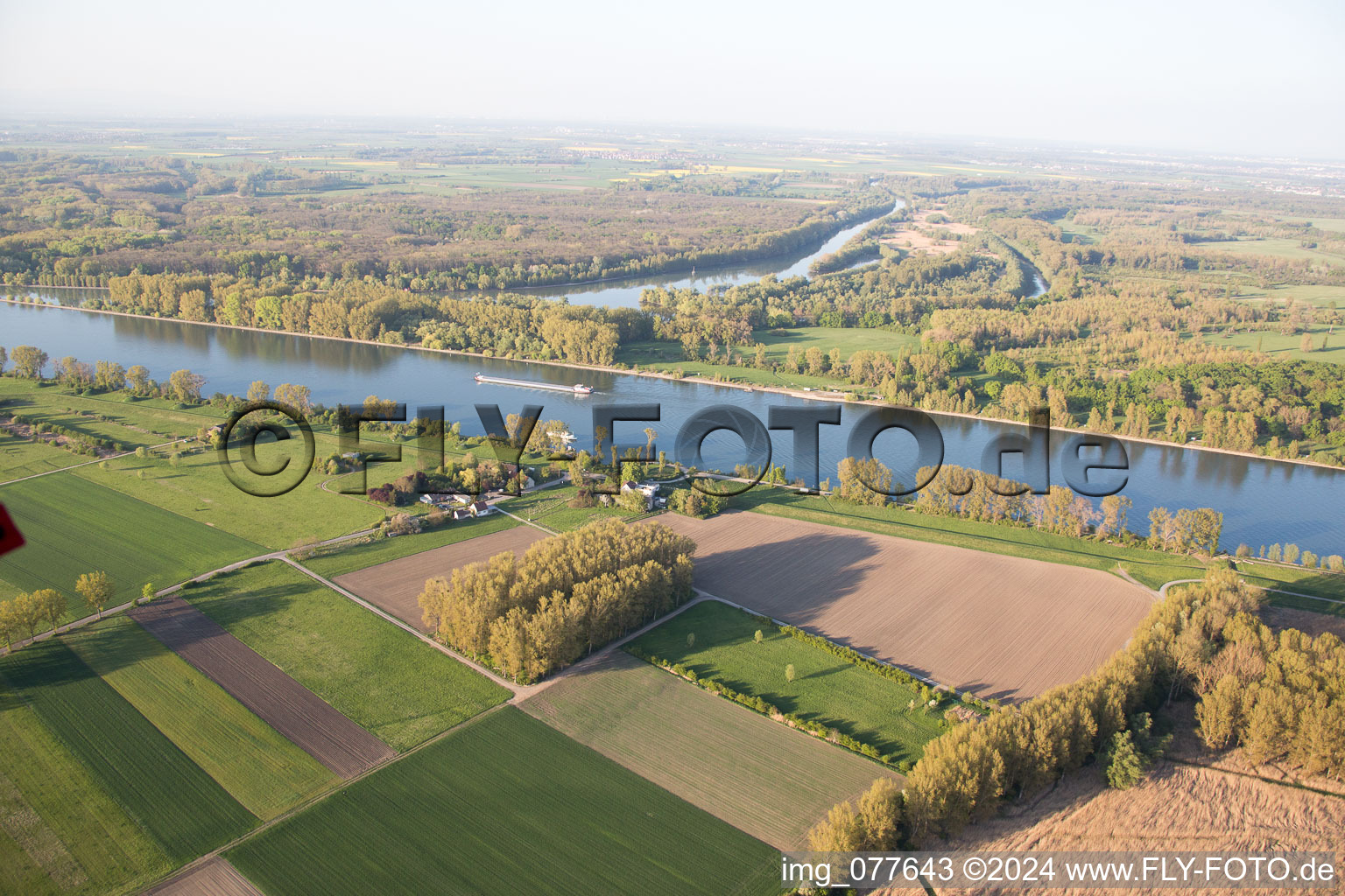 Schrägluftbild von Gimbsheim im Bundesland Rheinland-Pfalz, Deutschland