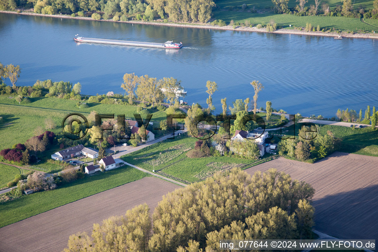 Gimbsheim im Bundesland Rheinland-Pfalz, Deutschland von oben