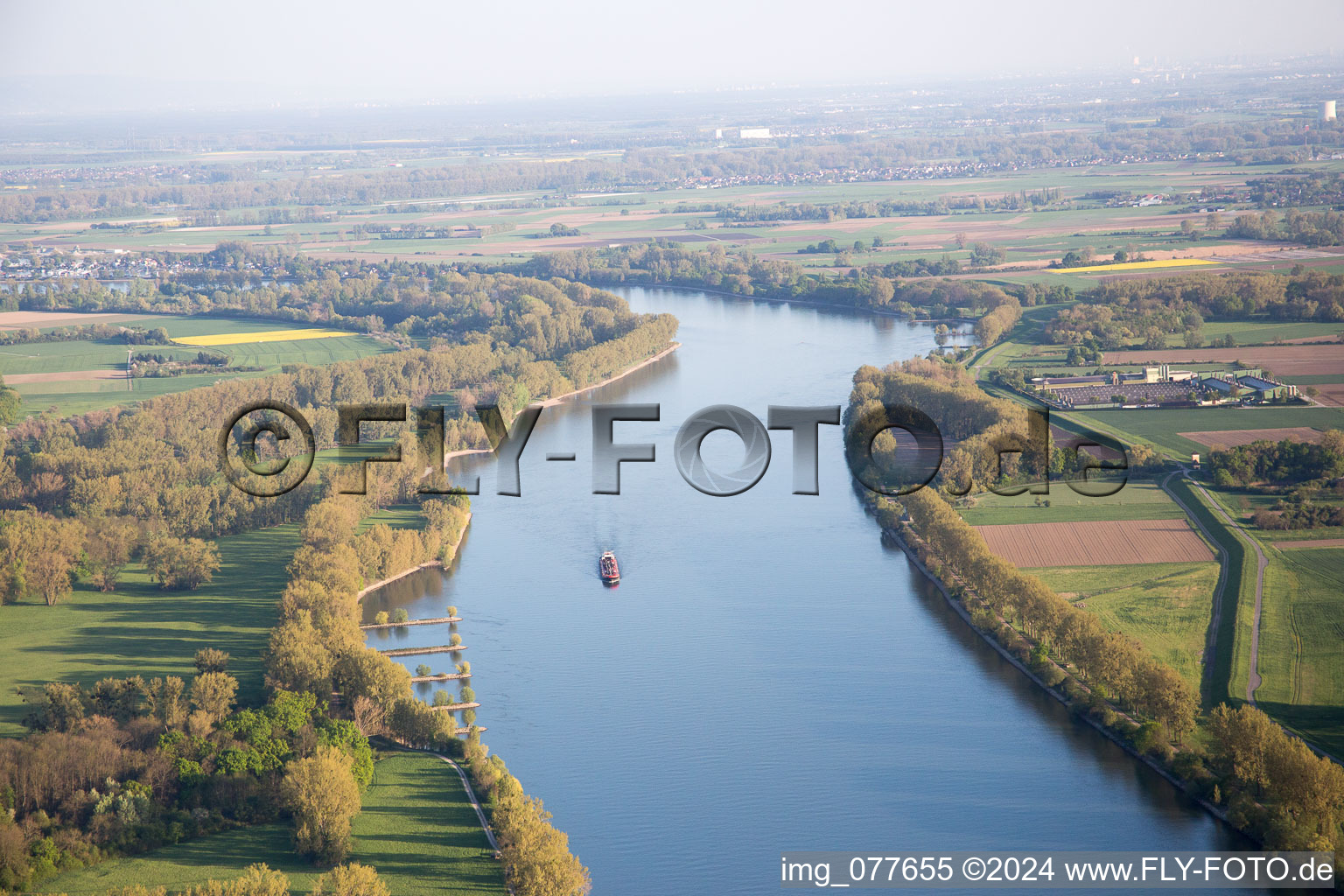 Gimbsheim im Bundesland Rheinland-Pfalz, Deutschland aus der Luft