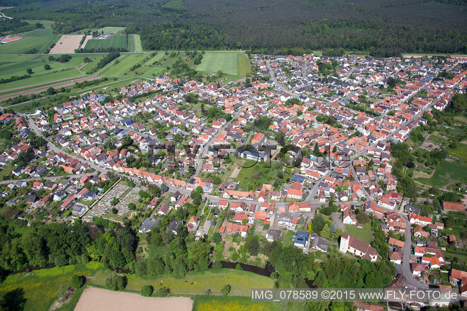 Luftbild von Dorf - Ansicht in Berg (Pfalz) im Bundesland Rheinland-Pfalz, Deutschland