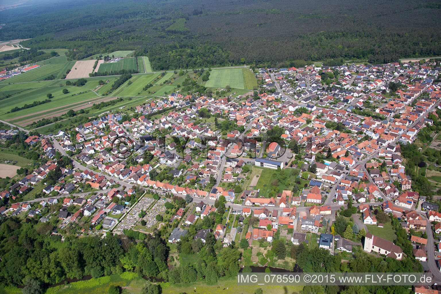 Luftaufnahme von Dorf - Ansicht in Berg (Pfalz) im Bundesland Rheinland-Pfalz, Deutschland