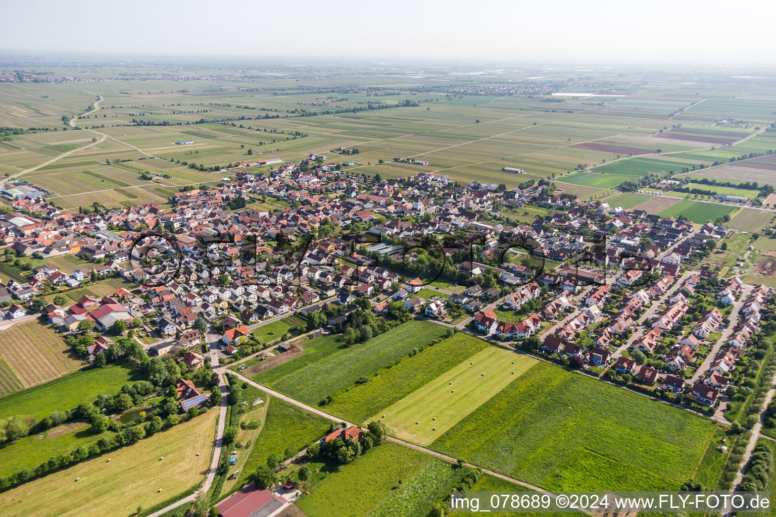 Dorf - Ansicht am Rande von Weinbergen und Feldern in Niederkirchen bei Deidesheim im Bundesland Rheinland-Pfalz, Deutschland