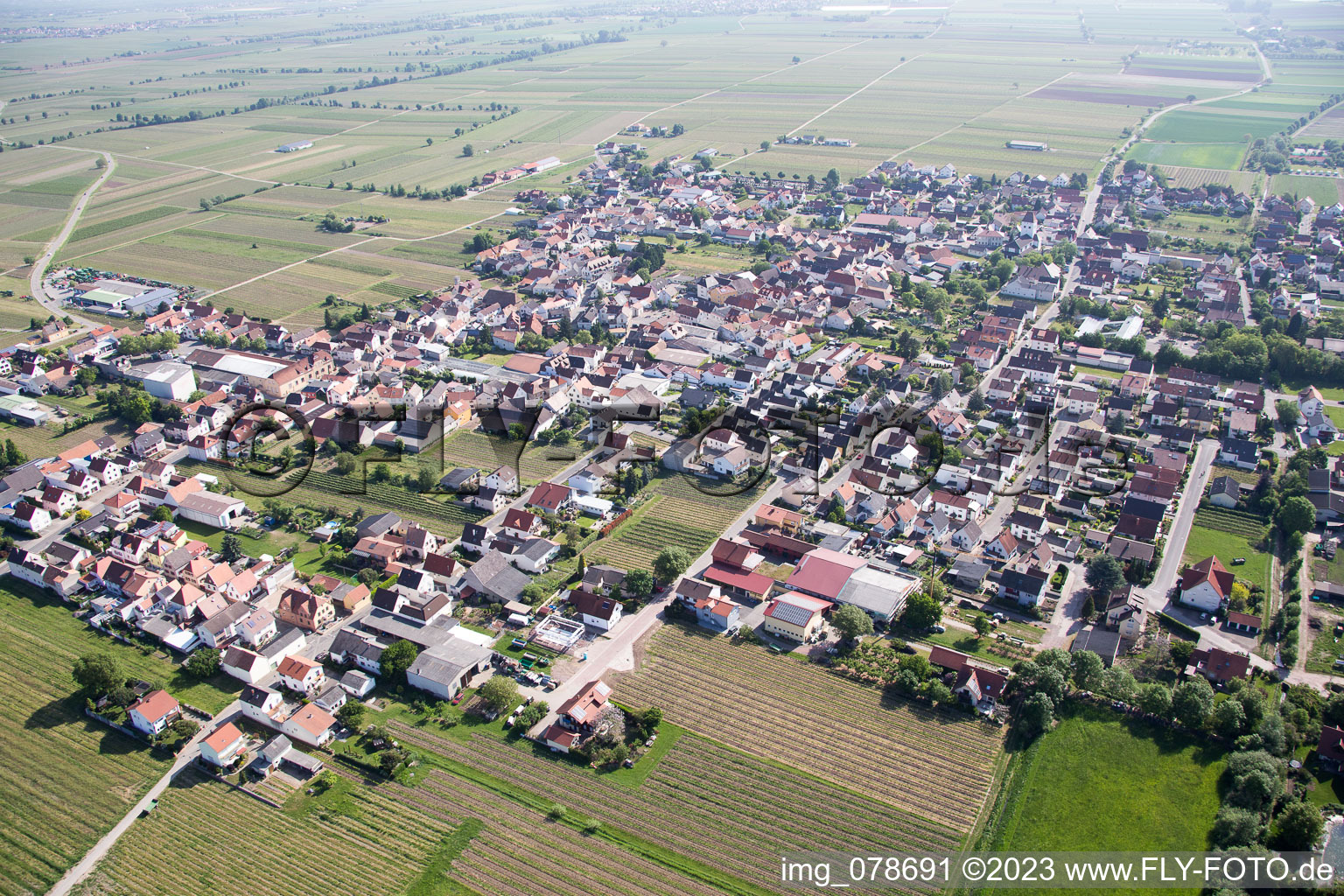 Luftbild von Niederkirchen bei Deidesheim im Bundesland Rheinland-Pfalz, Deutschland