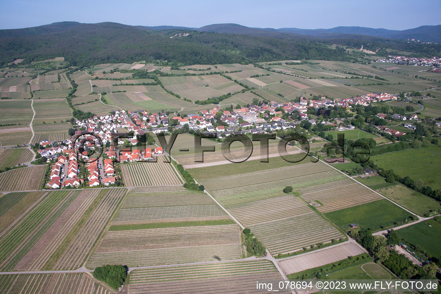Luftbild von Forst an der Weinstraße im Bundesland Rheinland-Pfalz, Deutschland