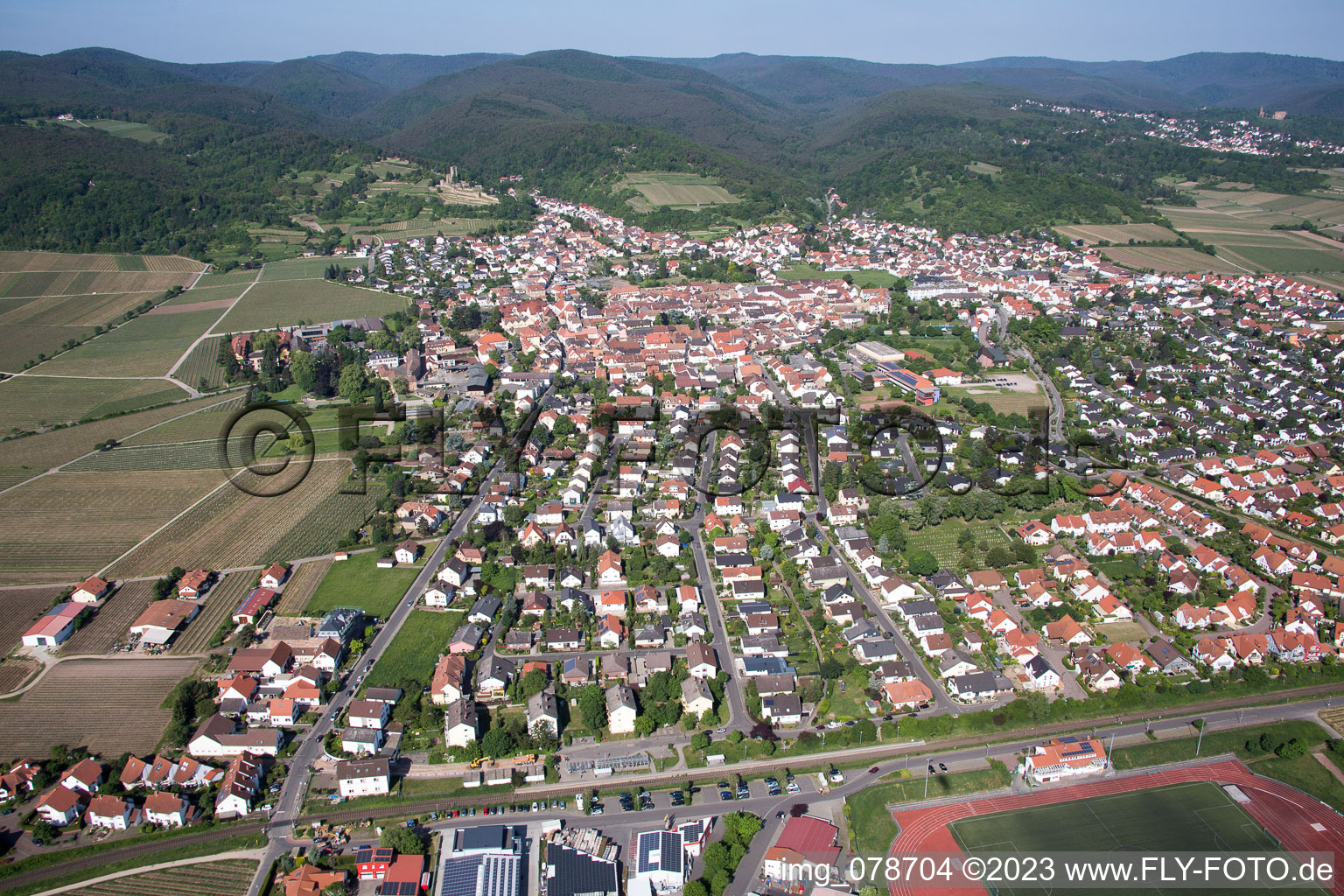 Luftbild von Wachenheim an der Weinstraße im Bundesland Rheinland-Pfalz, Deutschland