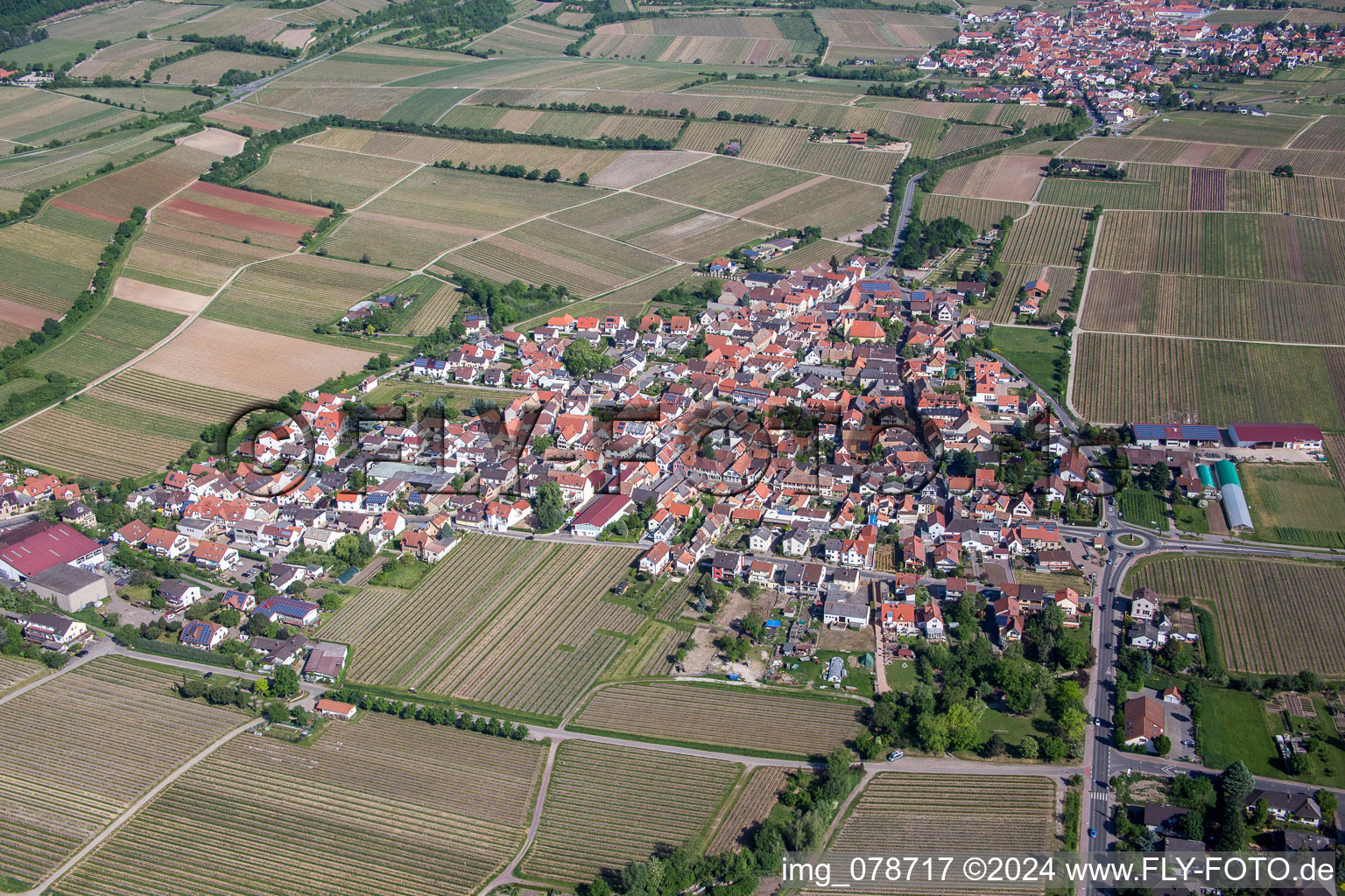Dorf - Ansicht am Rande von landwirtschaftlichen Feldern und Nutzflächen in Ungstein in Bad Dürkheim im Bundesland Rheinland-Pfalz, Deutschland