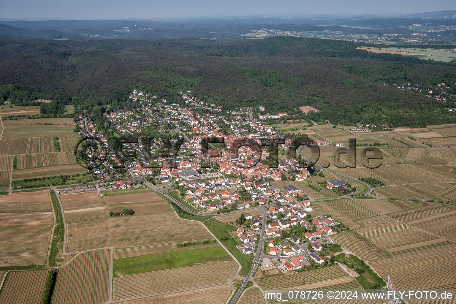 Dorf - Ansicht am Rande von landwirtschaftlichen Feldern und Nutzflächen in Weisenheim am Berg im Bundesland Rheinland-Pfalz, Deutschland