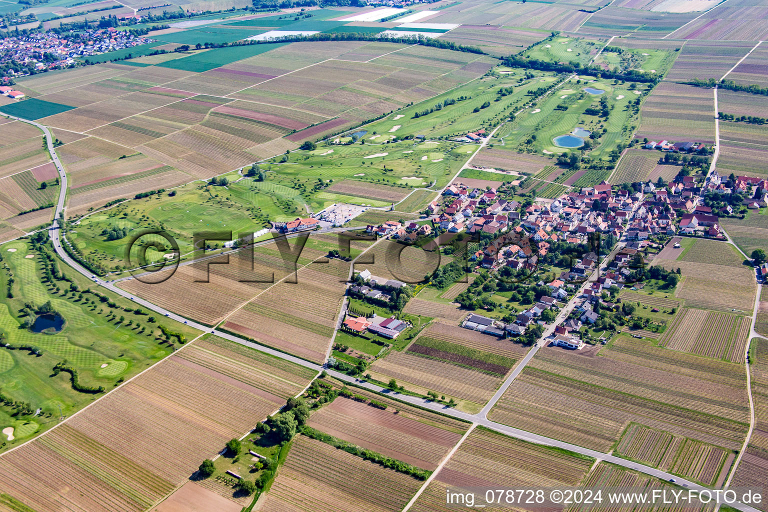 Dackenheim, Golfplatz im Bundesland Rheinland-Pfalz, Deutschland