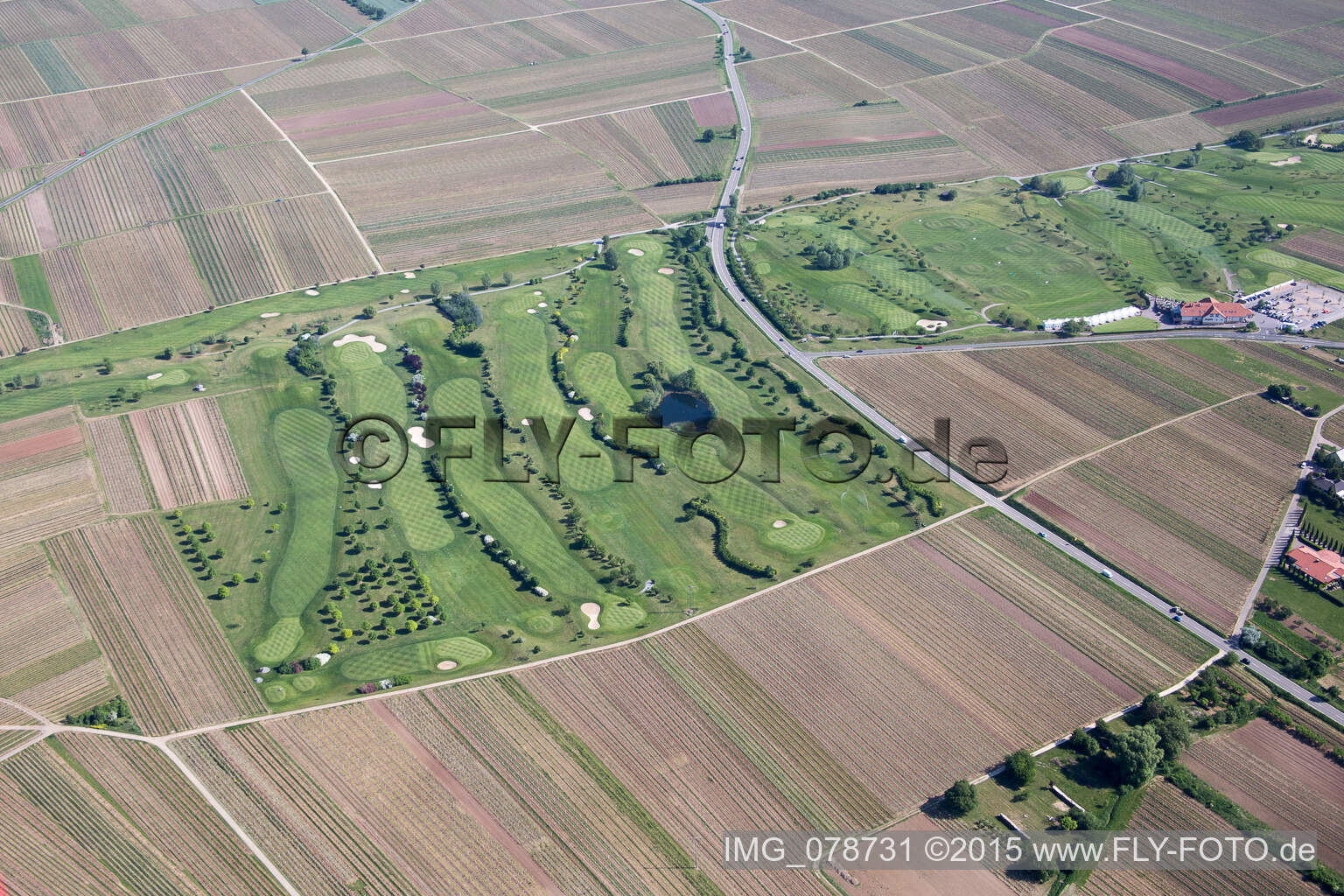 Schrägluftbild von Dackenheim, Golfplatz im Bundesland Rheinland-Pfalz, Deutschland