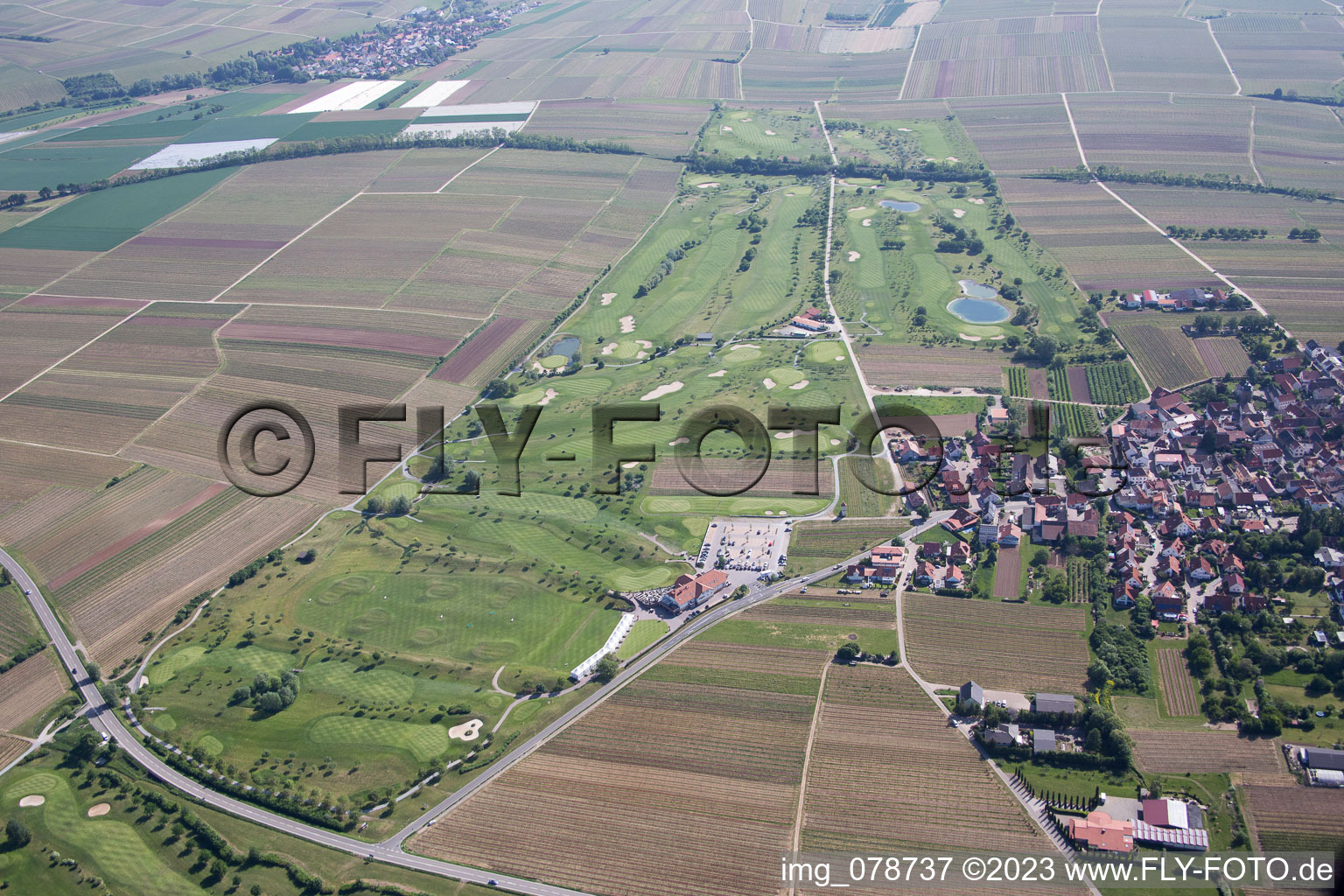Dackenheim, Golfplatz im Bundesland Rheinland-Pfalz, Deutschland aus der Luft