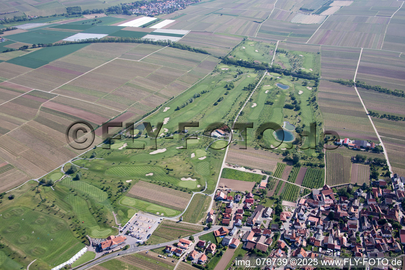Dackenheim, Golfplatz im Bundesland Rheinland-Pfalz, Deutschland vom Flugzeug aus
