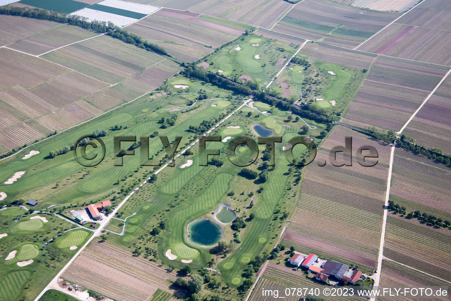 Dackenheim, Golfplatz im Bundesland Rheinland-Pfalz, Deutschland aus der Vogelperspektive