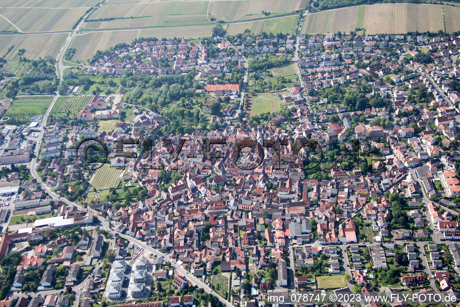 Luftbild von Freinsheim im Bundesland Rheinland-Pfalz, Deutschland