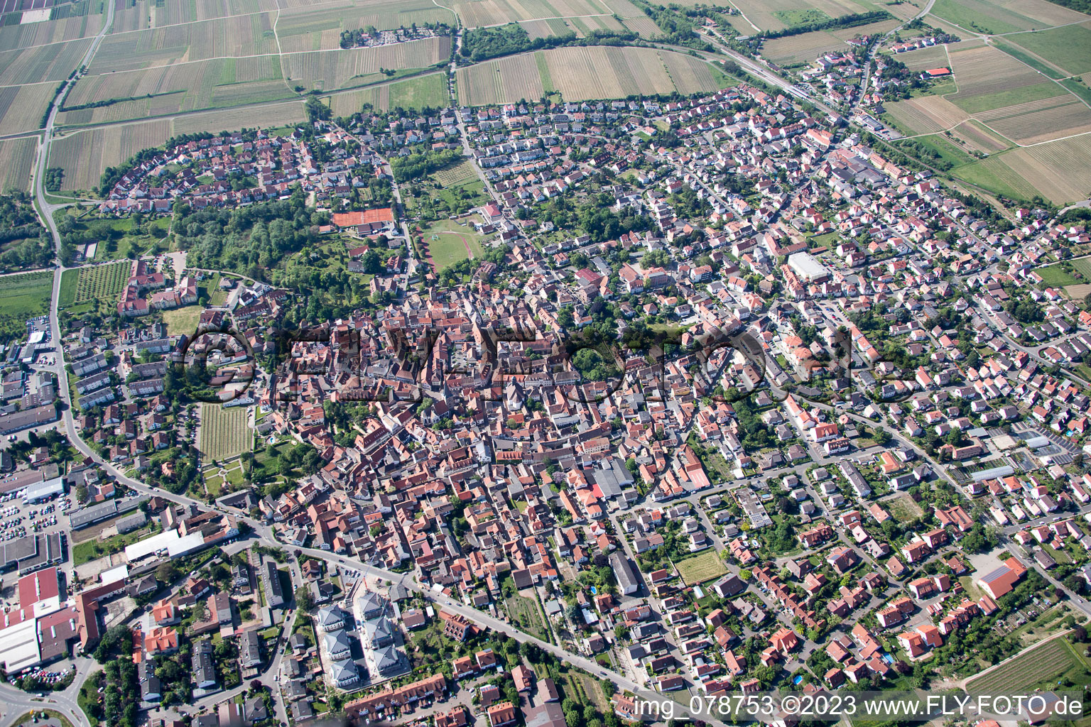 Luftaufnahme von Freinsheim im Bundesland Rheinland-Pfalz, Deutschland