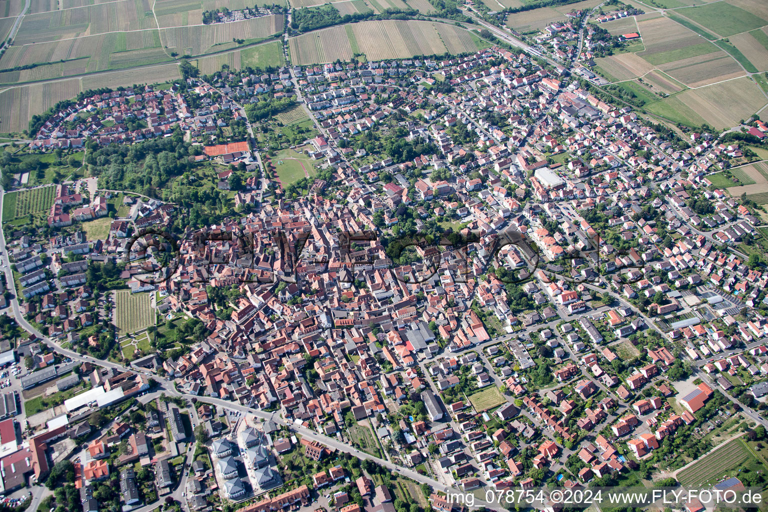 Luftbild von Ortsansicht der Straßen und Häuser der Wohngebiete in Freinsheim im Bundesland Rheinland-Pfalz, Deutschland