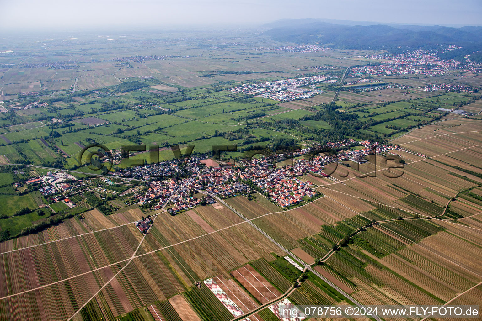 Dorf - Ansicht am Rande von landwirtschaftlichen Feldern und Nutzflächen in Erpolzheim im Bundesland Rheinland-Pfalz, Deutschland