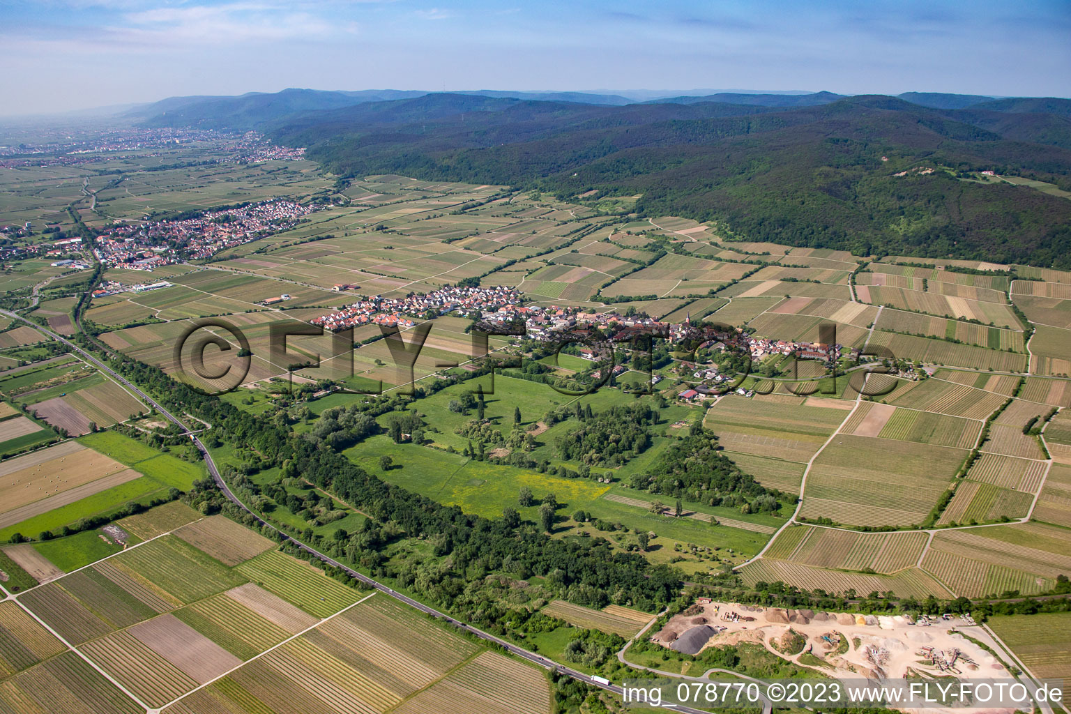 Forst an der Weinstraße im Bundesland Rheinland-Pfalz, Deutschland aus der Luft