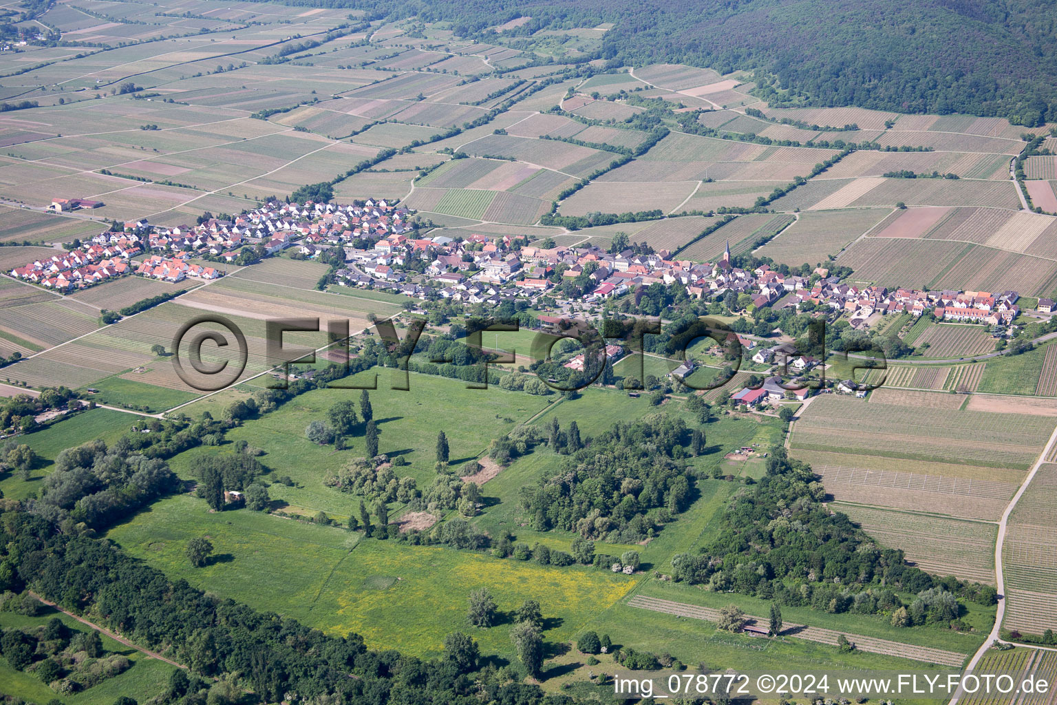 Dorf - Ansicht am Rande von Weinbergen in Forst an der Weinstraße im Bundesland Rheinland-Pfalz, Deutschland