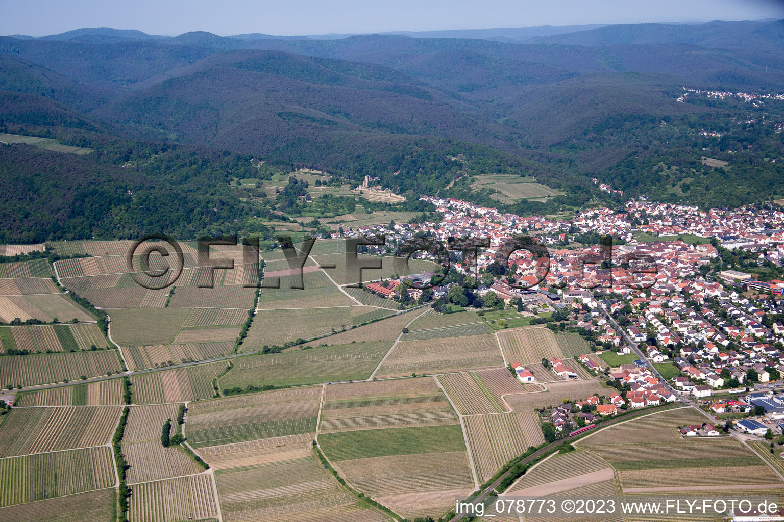 Luftbild von Wachenheim in Wachenheim an der Weinstraße im Bundesland Rheinland-Pfalz, Deutschland