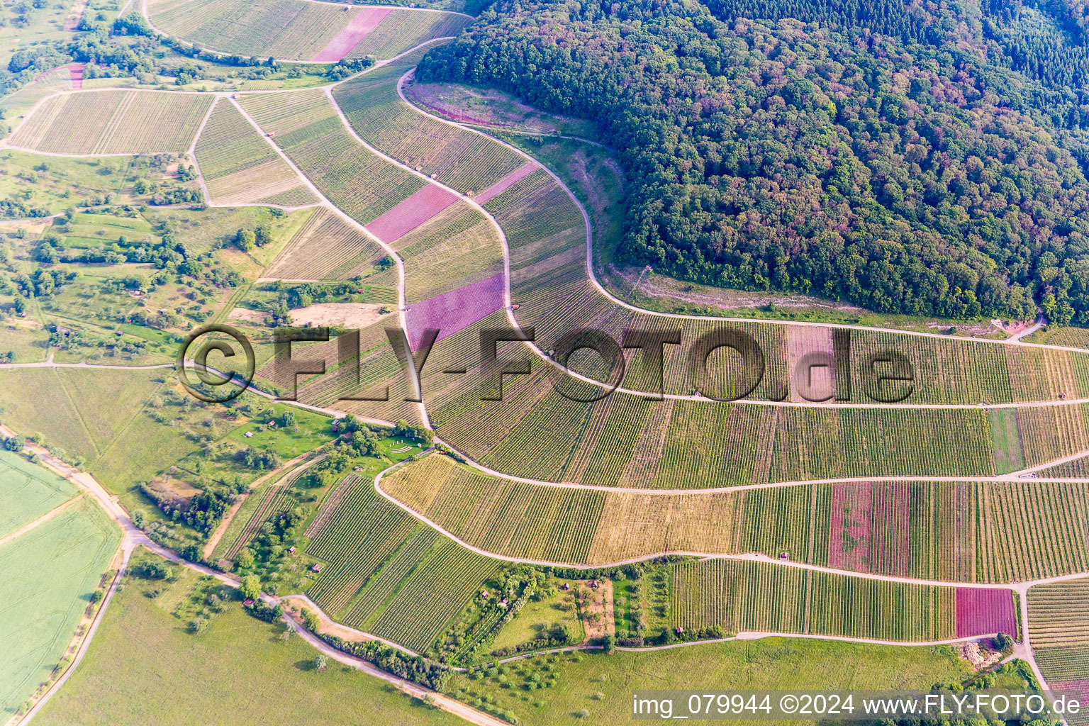 Luftaufnahme von Weinbergs- Landschaft "Wilder Fritz" in Sternenfels im Bundesland Baden-Württemberg, Deutschland