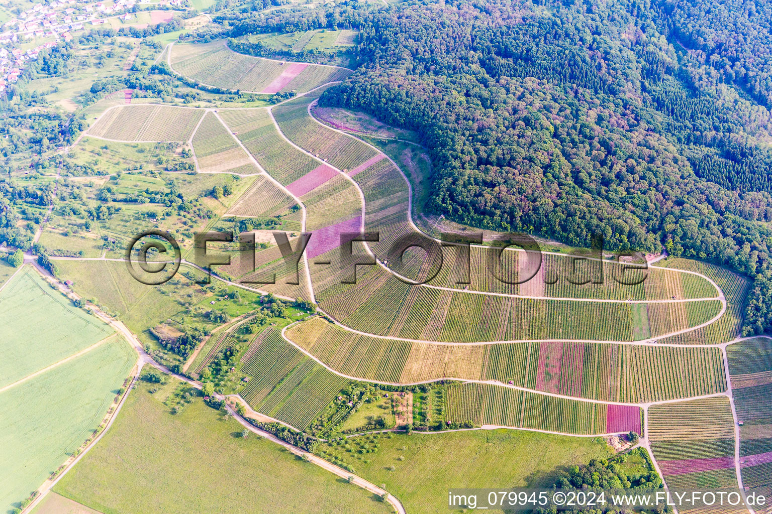 Schrägluftbild von Weinbergs- Landschaft "Wilder Fritz" in Sternenfels im Bundesland Baden-Württemberg, Deutschland