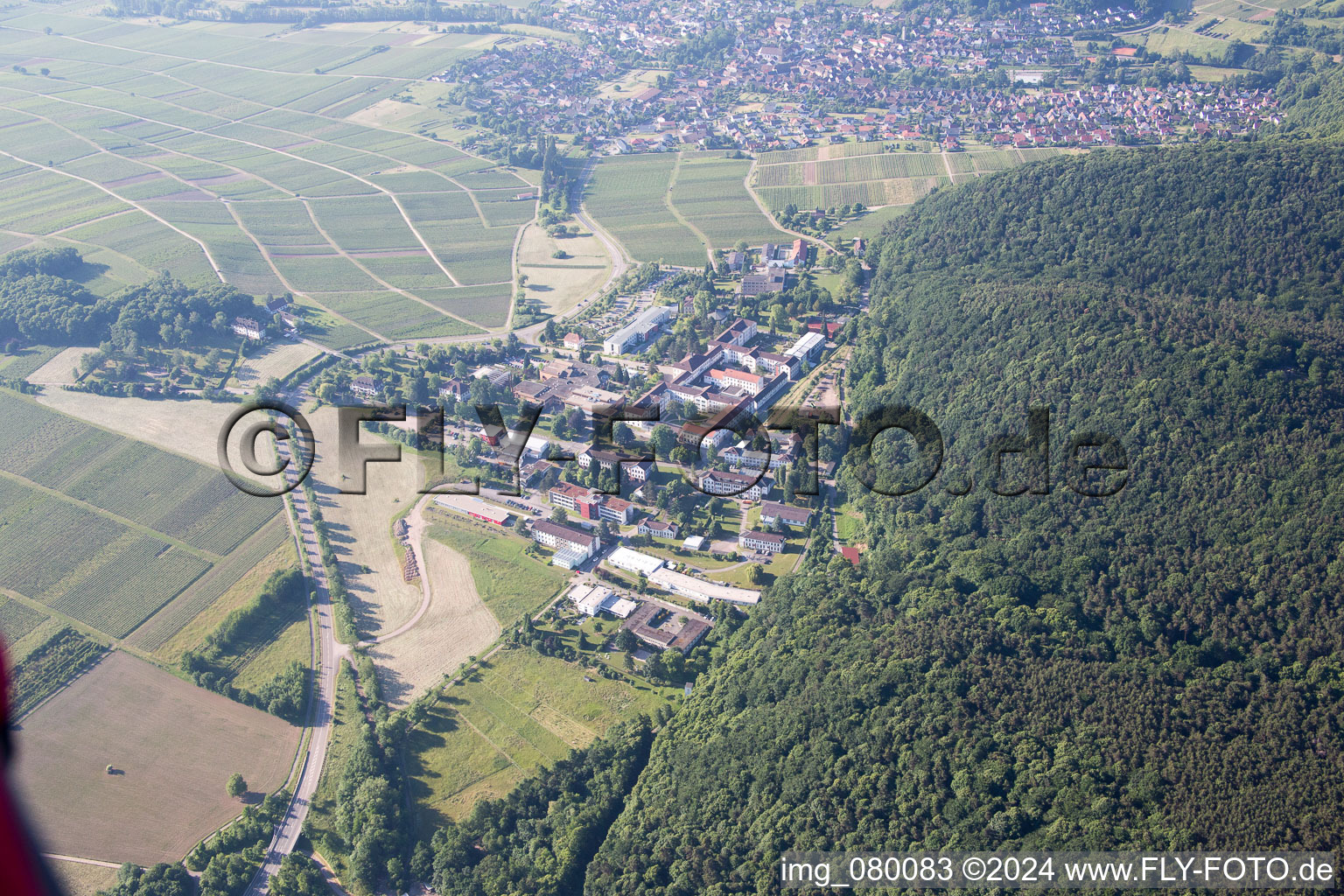 Schrägluftbild von Klingenmünster im Bundesland Rheinland-Pfalz, Deutschland