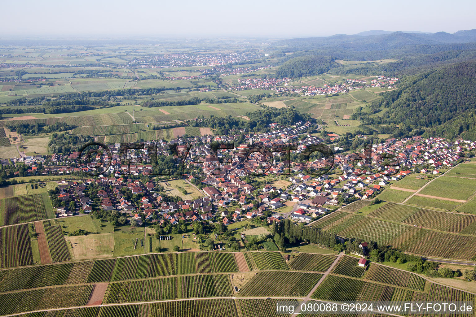 Klingenmünster im Bundesland Rheinland-Pfalz, Deutschland von oben gesehen