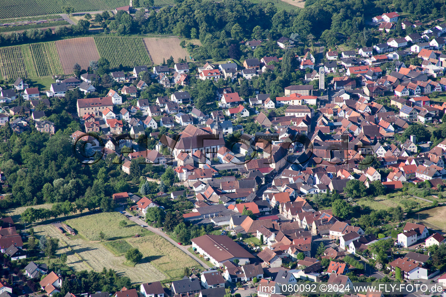 Klingenmünster im Bundesland Rheinland-Pfalz, Deutschland vom Flugzeug aus