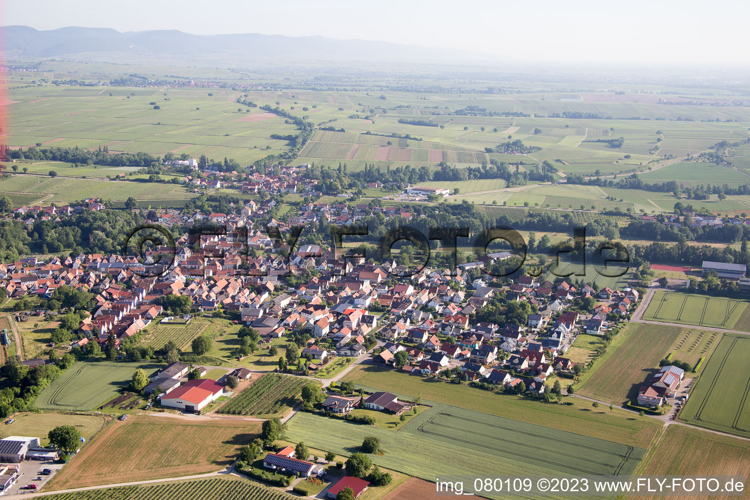 Ortsteil Ingenheim in Billigheim-Ingenheim im Bundesland Rheinland-Pfalz, Deutschland von einer Drohne aus