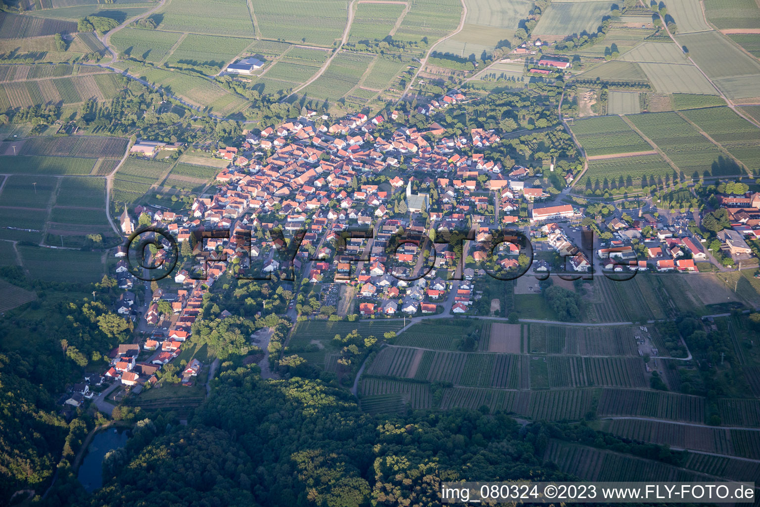 Luftbild von Ortsteil Schweigen in Schweigen-Rechtenbach im Bundesland Rheinland-Pfalz, Deutschland