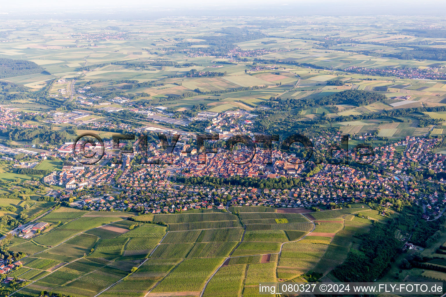 Ortsansicht hinter den Weinbergen des Sonnenberg der Straßen und Häuser der Wohngebiete in Wissembourg in Grand Est im Bundesland Bas-Rhin, Frankreich