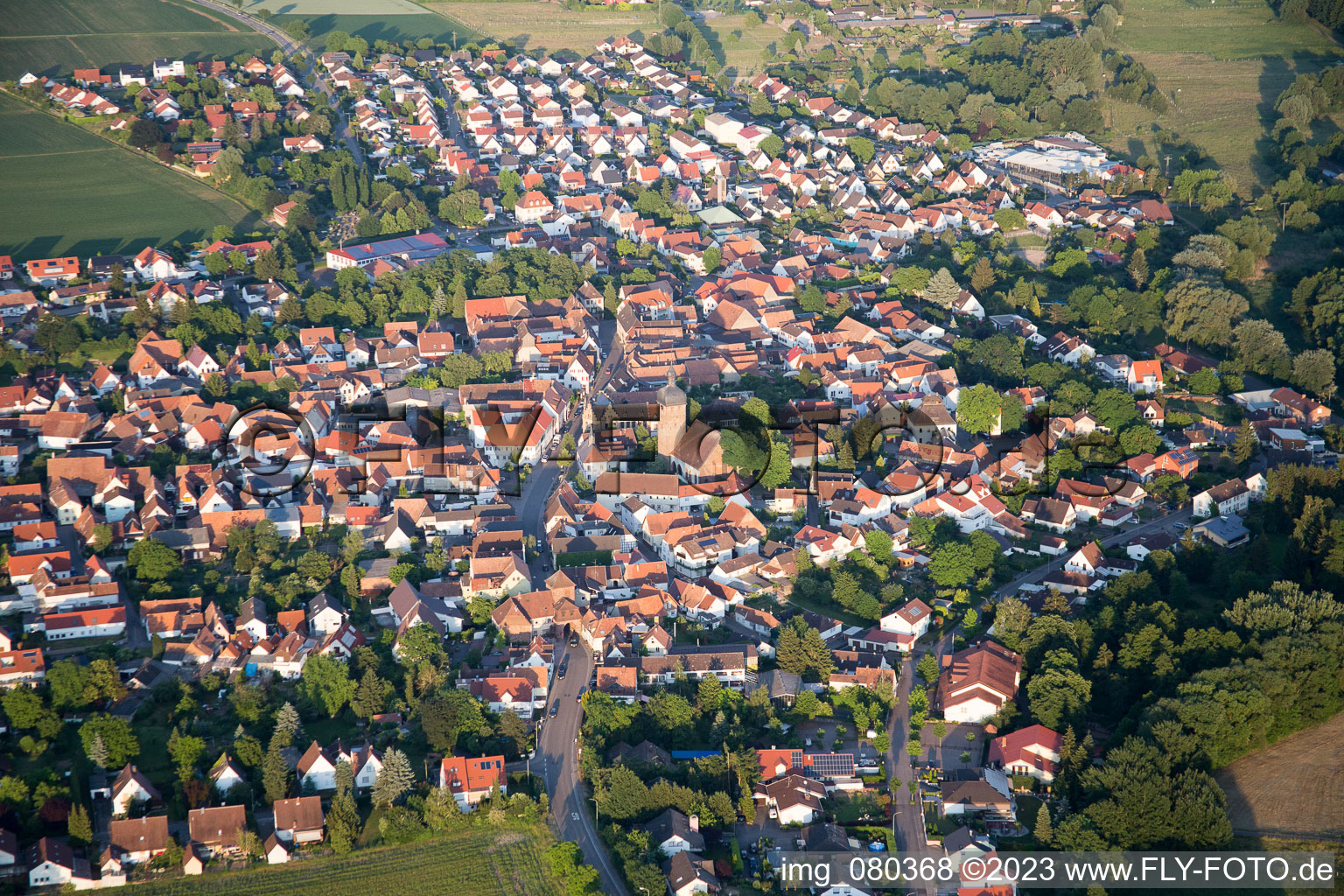 Ortsteil Billigheim in Billigheim-Ingenheim im Bundesland Rheinland-Pfalz, Deutschland aus der Luft