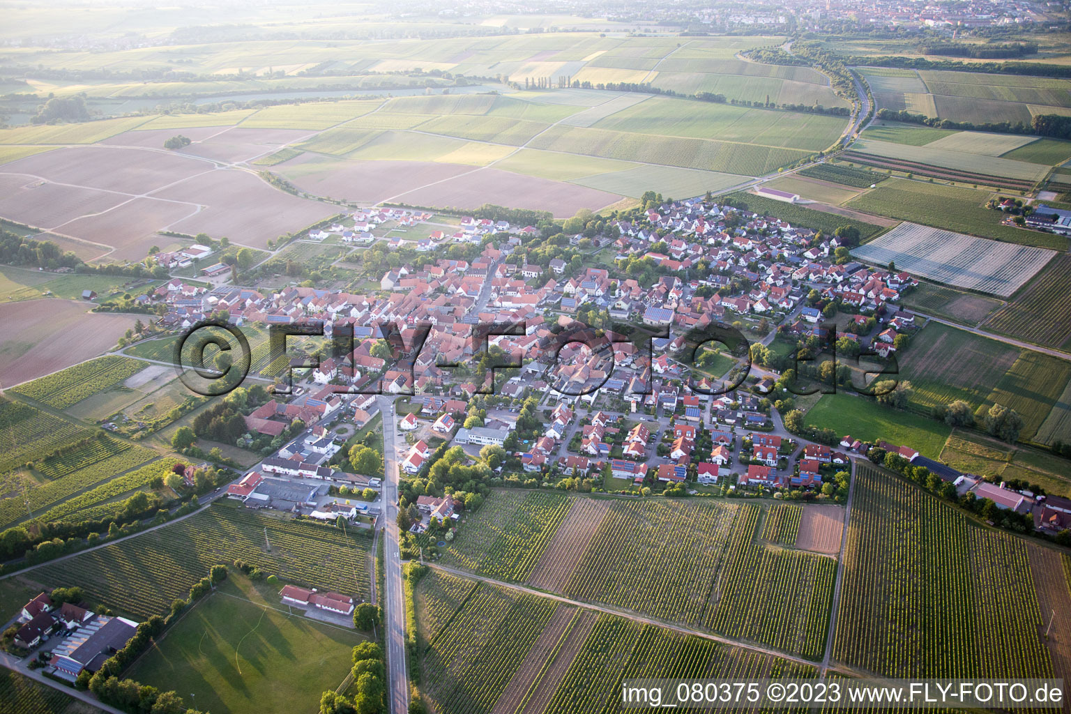 Luftbild von Impflingen im Bundesland Rheinland-Pfalz, Deutschland