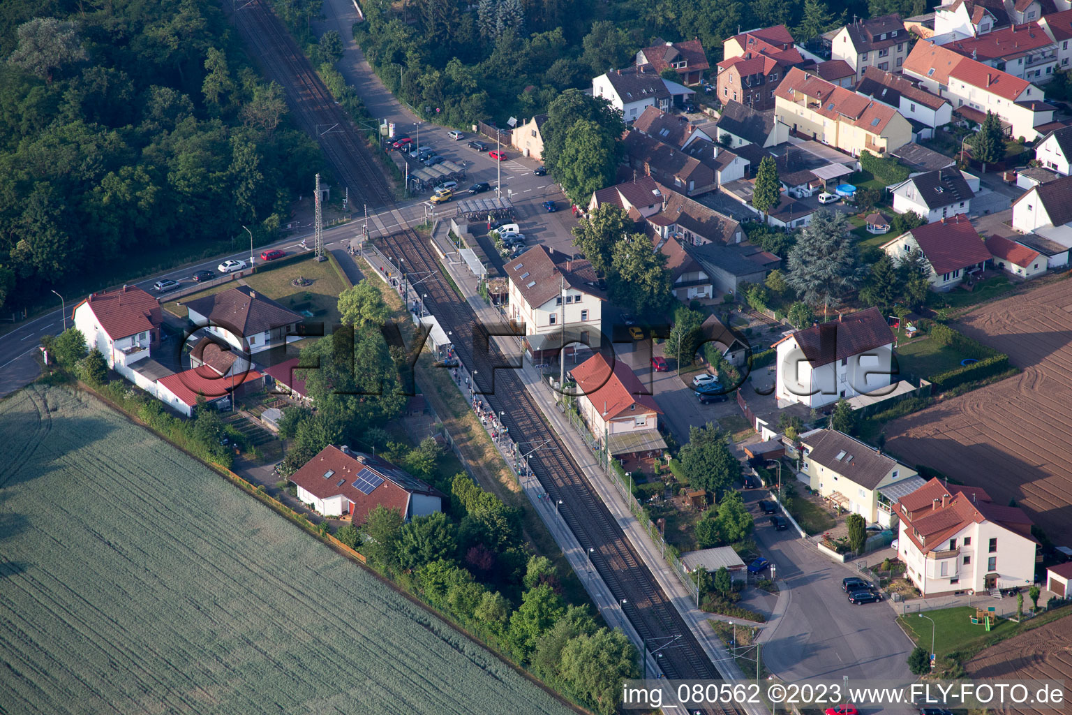 Luftbild von Lingenfeld im Bundesland Rheinland-Pfalz, Deutschland