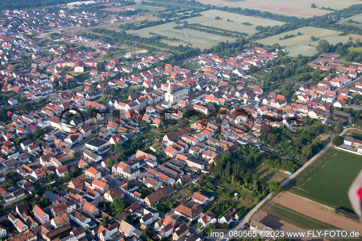 Schrägluftbild von Lingenfeld im Bundesland Rheinland-Pfalz, Deutschland