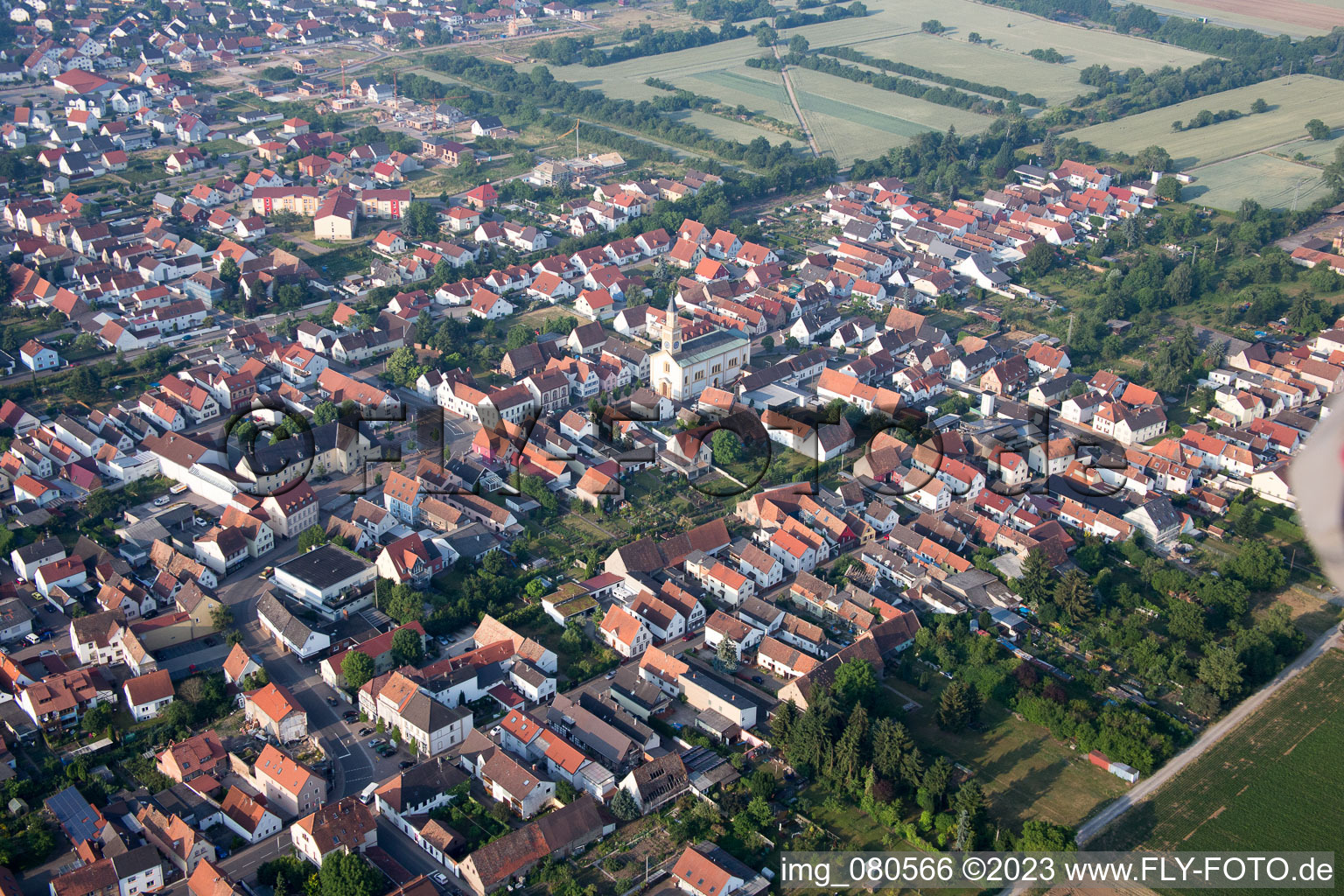 Lingenfeld im Bundesland Rheinland-Pfalz, Deutschland von oben
