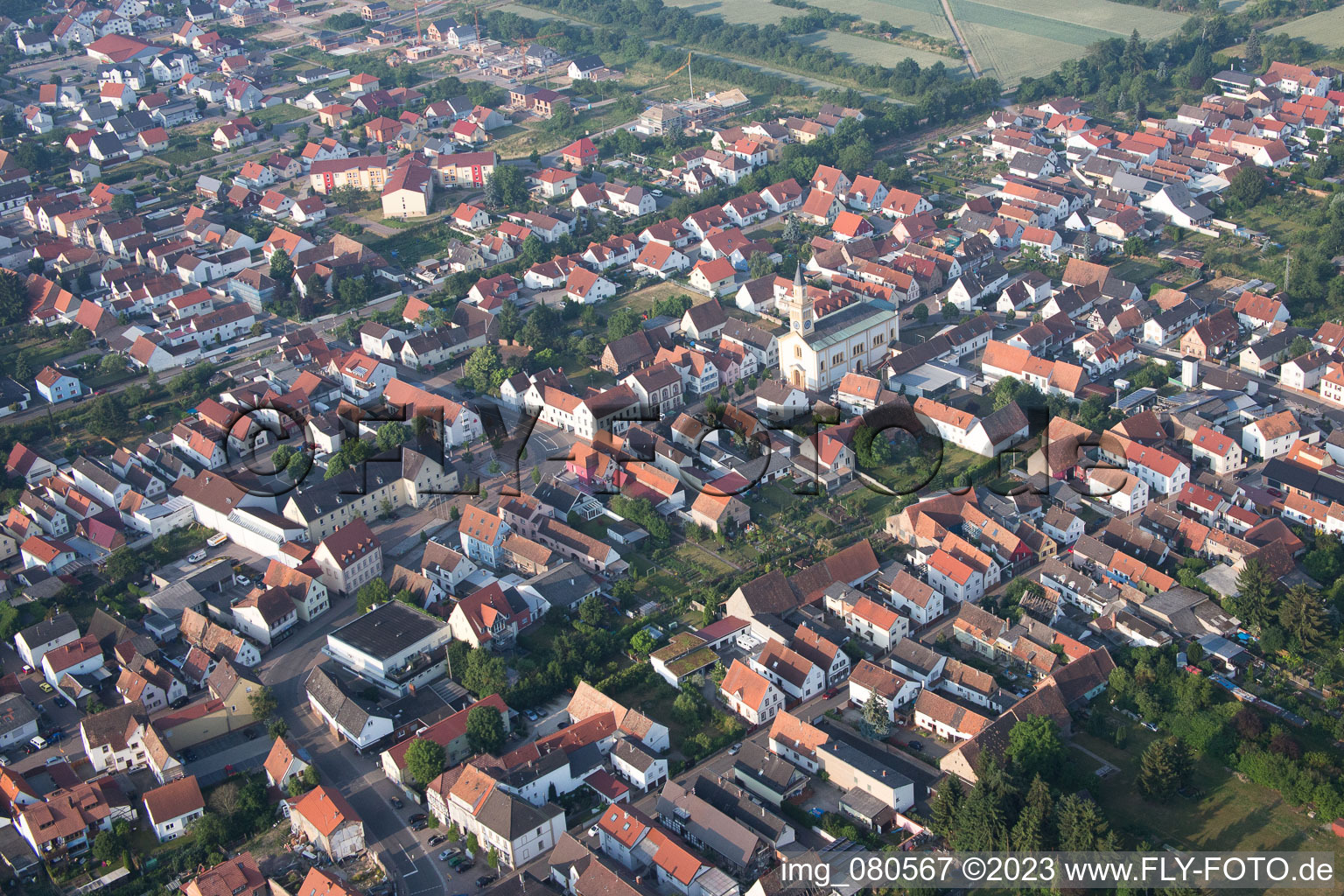 Lingenfeld im Bundesland Rheinland-Pfalz, Deutschland aus der Luft