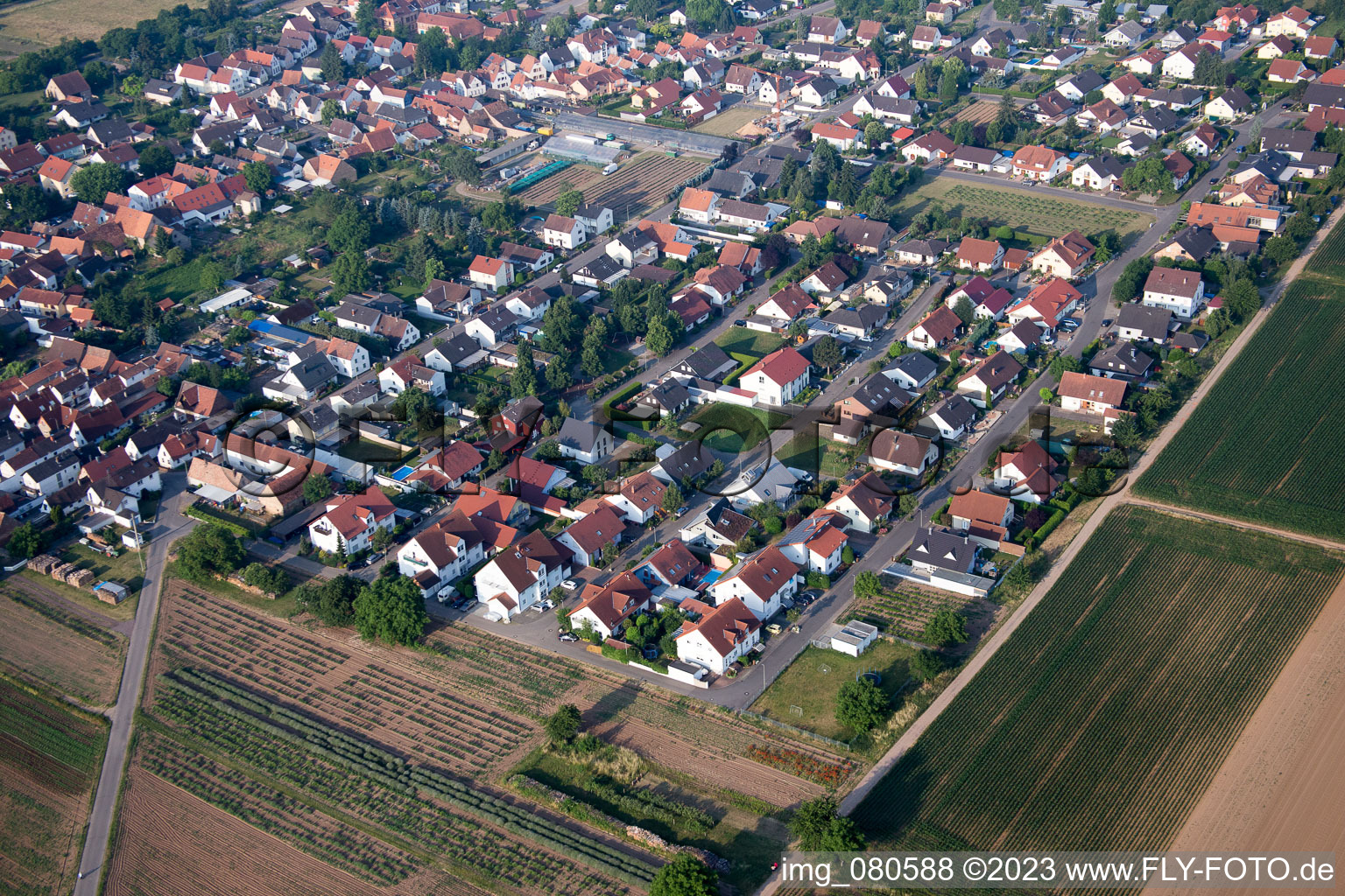 Schrägluftbild von Lustadt im Bundesland Rheinland-Pfalz, Deutschland