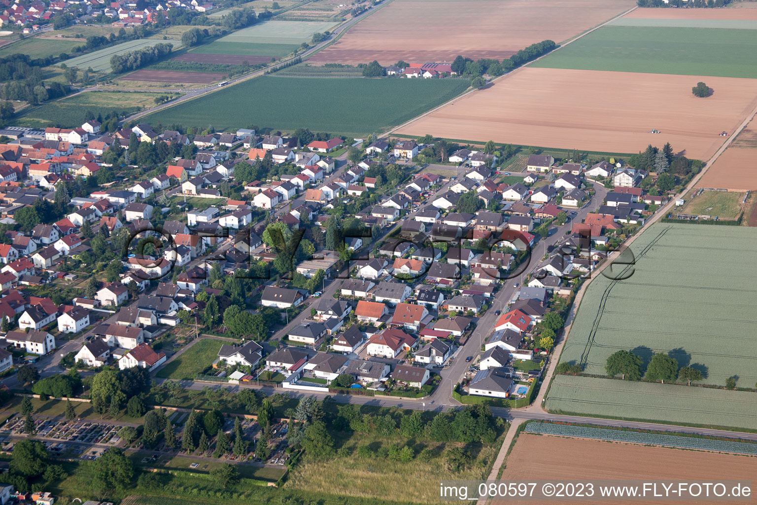 Lustadt im Bundesland Rheinland-Pfalz, Deutschland aus der Luft betrachtet
