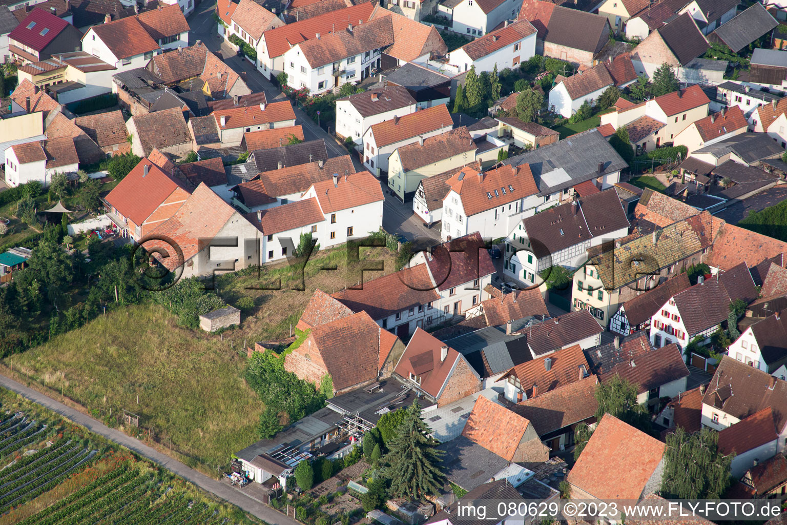 Drohnenbild von Zeiskam im Bundesland Rheinland-Pfalz, Deutschland