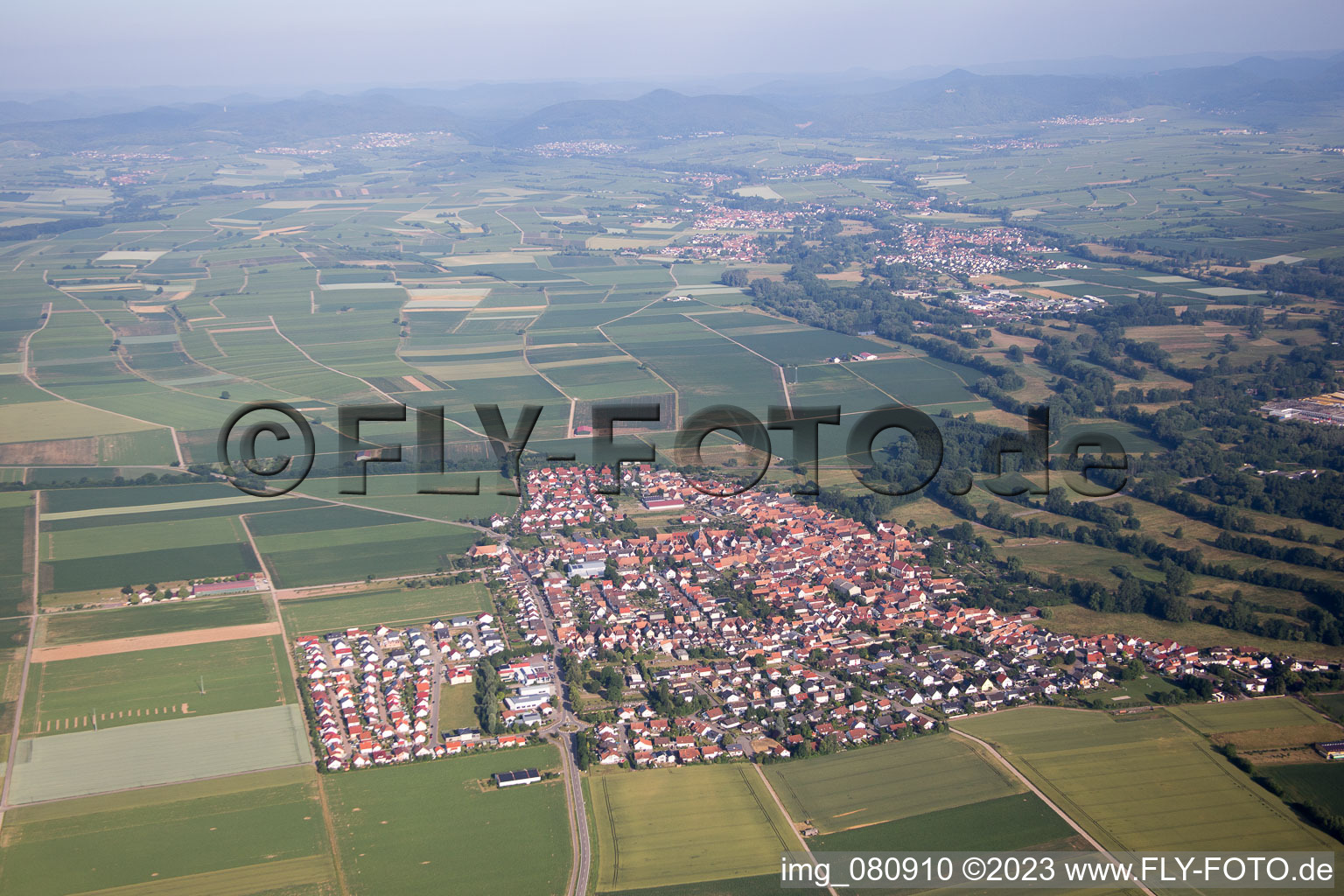 Steinweiler im Bundesland Rheinland-Pfalz, Deutschland aus der Luft betrachtet